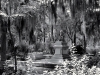 bonaventure bw 8x10 etsy