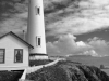 pigeon point 2 bw etsy